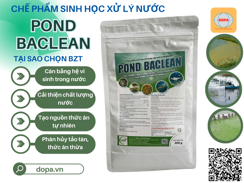 Chế phẩm EM bổ sung vi sinh vật có lợi, cải thiện chất lượng nước ao nuôi thủy sản